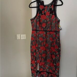 Illusion neck Gianni Bini red lace dress size L